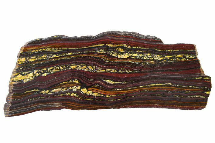 Polished Tiger Iron Stromatolite Slab - Billion Years #317906